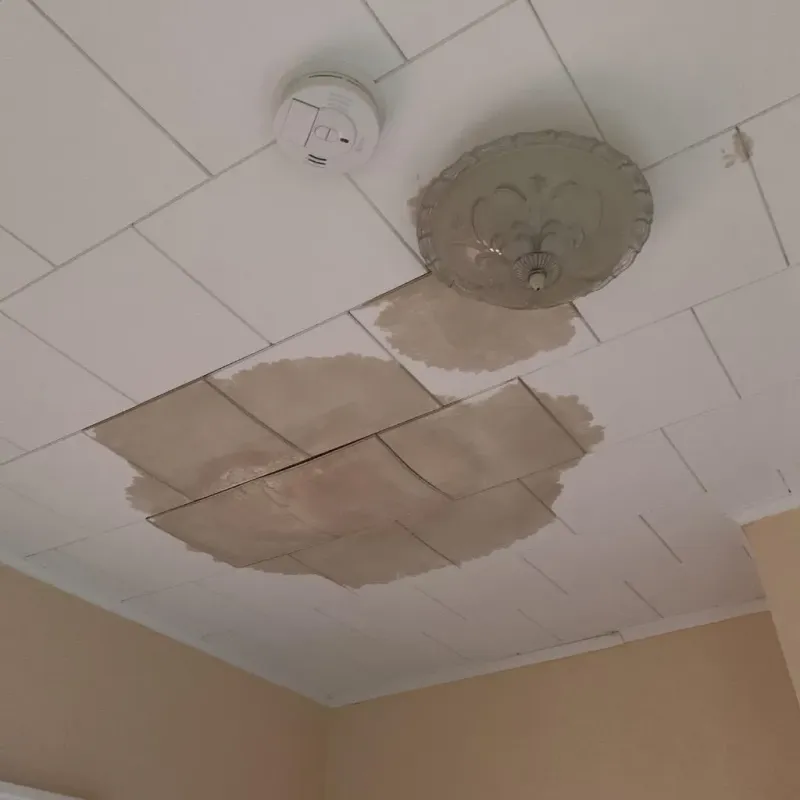 Ceiling Water Damage Repair in Baker, LA